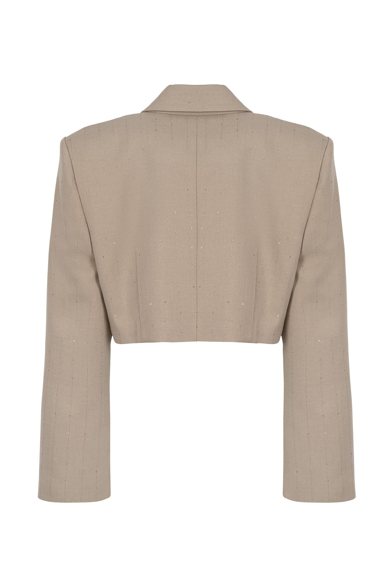 Beige Shine jacket image 2
