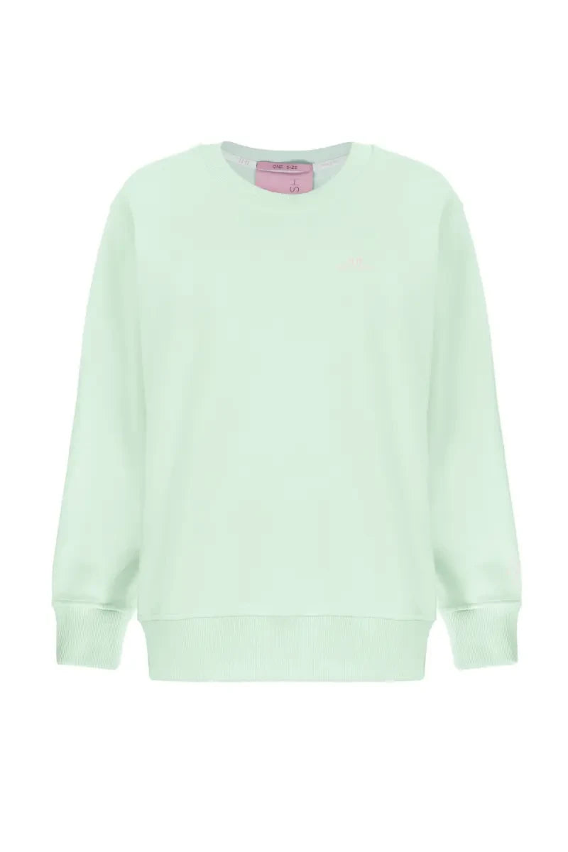 Mint Delicat sweatshirt image 3