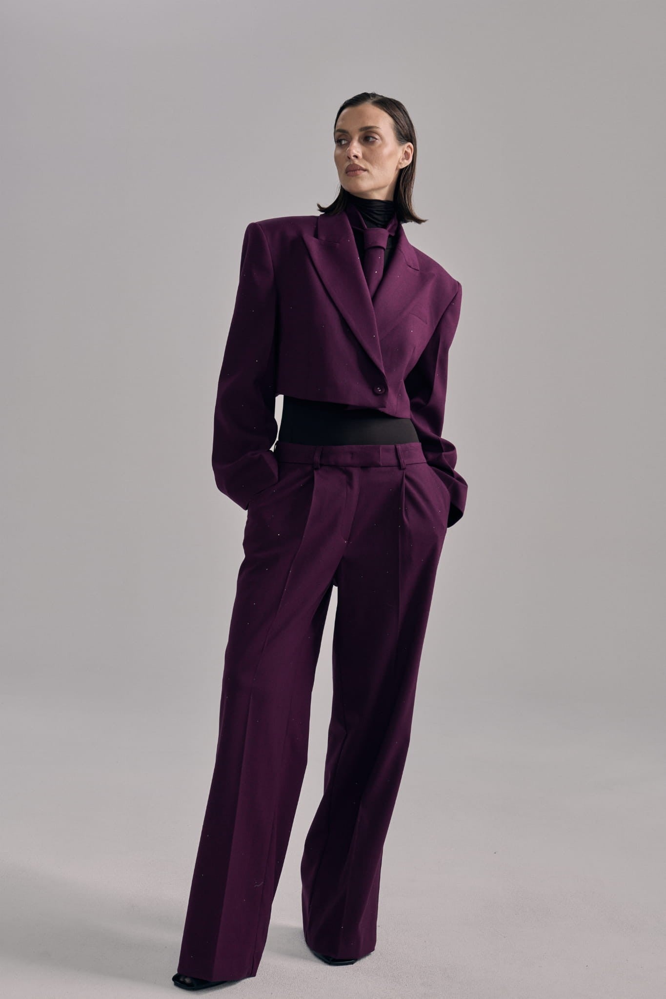 Plum Shine tie image 1