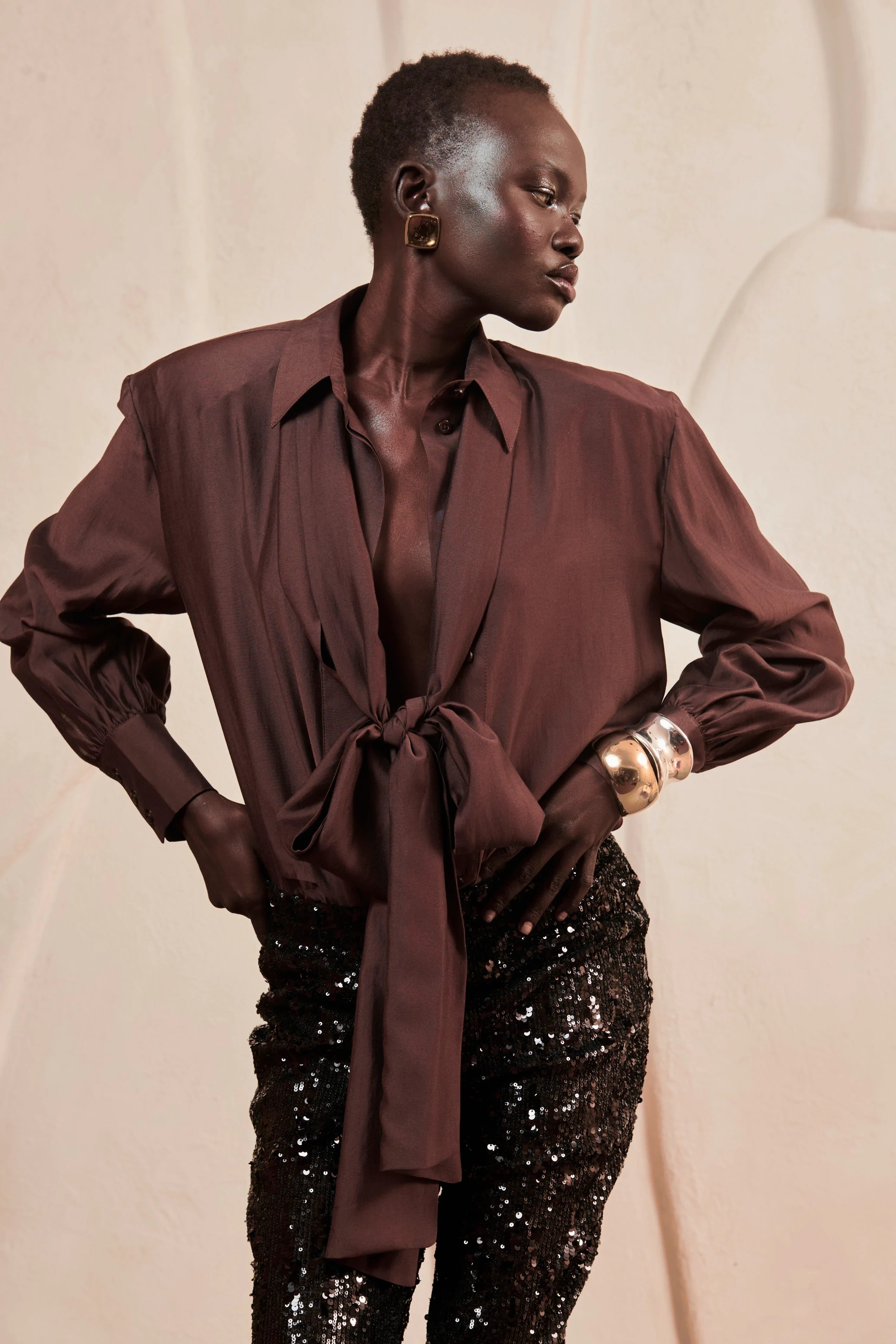 Brown Bow blouse image 1
