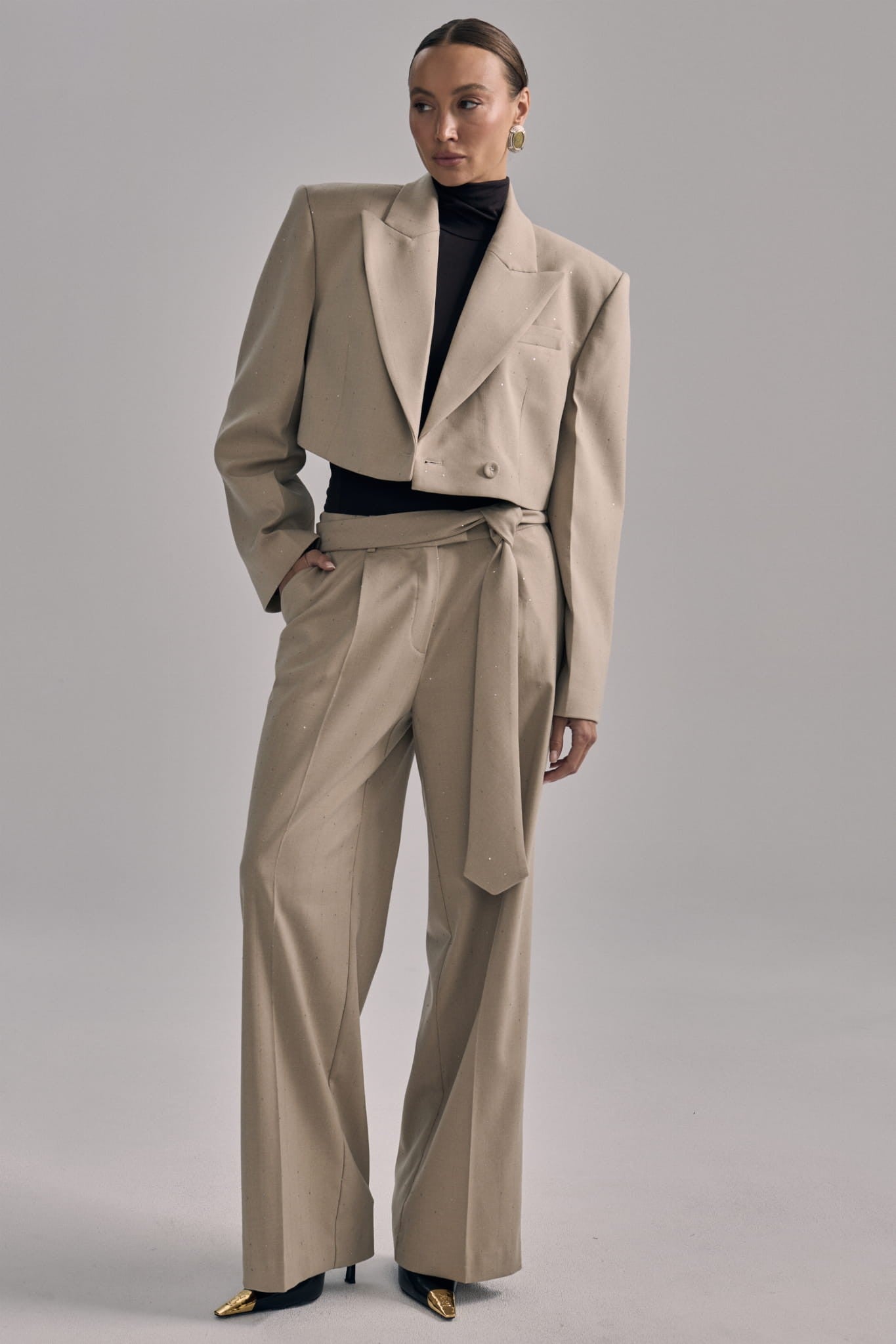 Beige Shine tie image 2